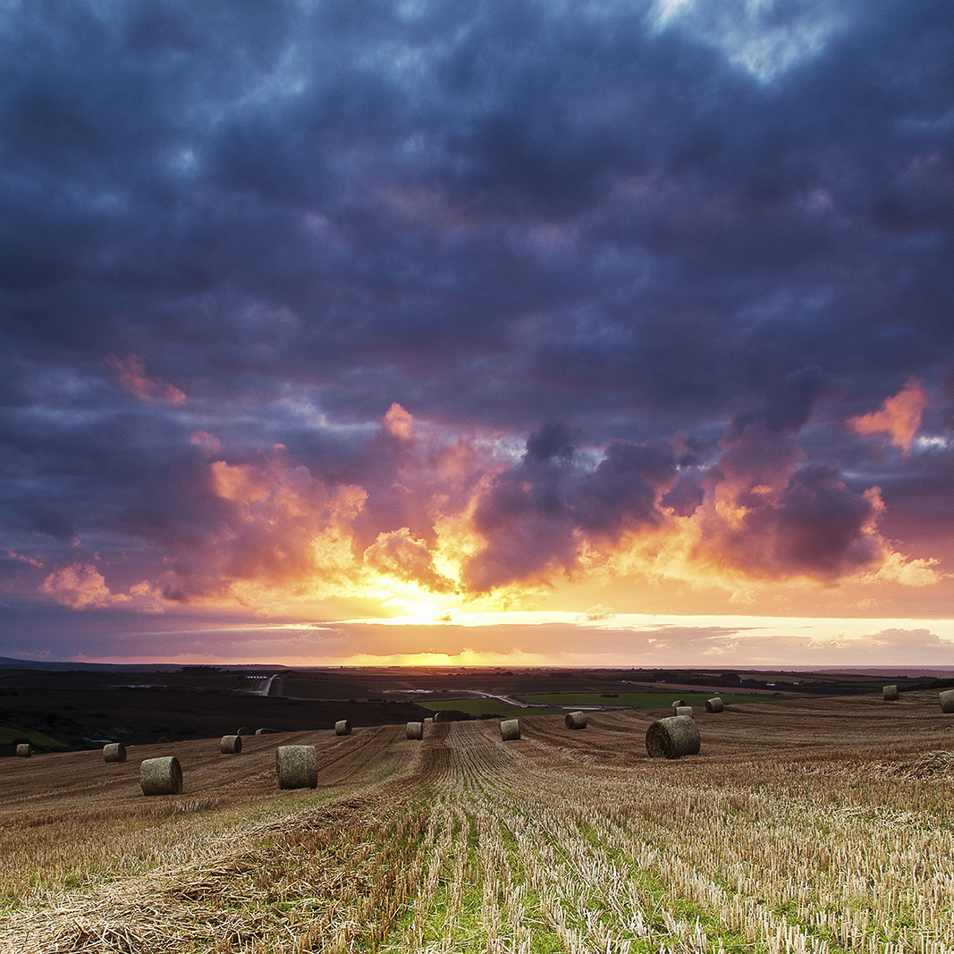 Fire in the Sky